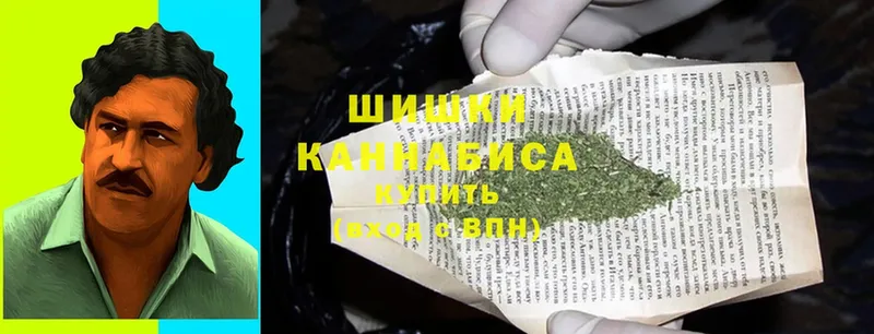 продажа наркотиков  Егорьевск  мега ССЫЛКА  Бошки марихуана OG Kush 